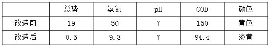 食品污水處理改造前后出水效果