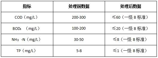 各指標處理前后的數(shù)據(jù)