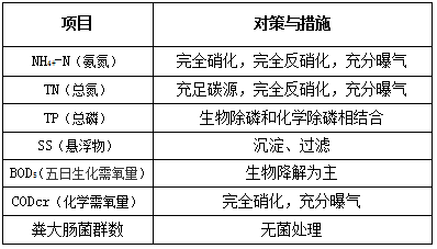 污水站運(yùn)營常見問題及應(yīng)對措施