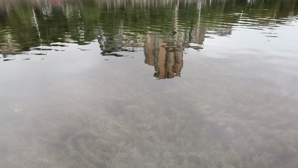 輕度污染河道治理方案