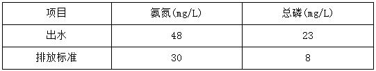 污水改造前