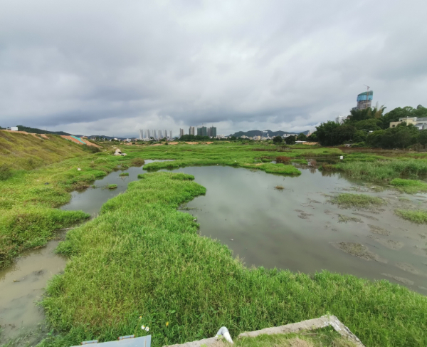 農(nóng)村廢水治理