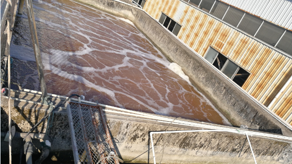 福建某食品工業(yè)廢水處理工程案例