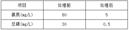 生活污水運營效果后